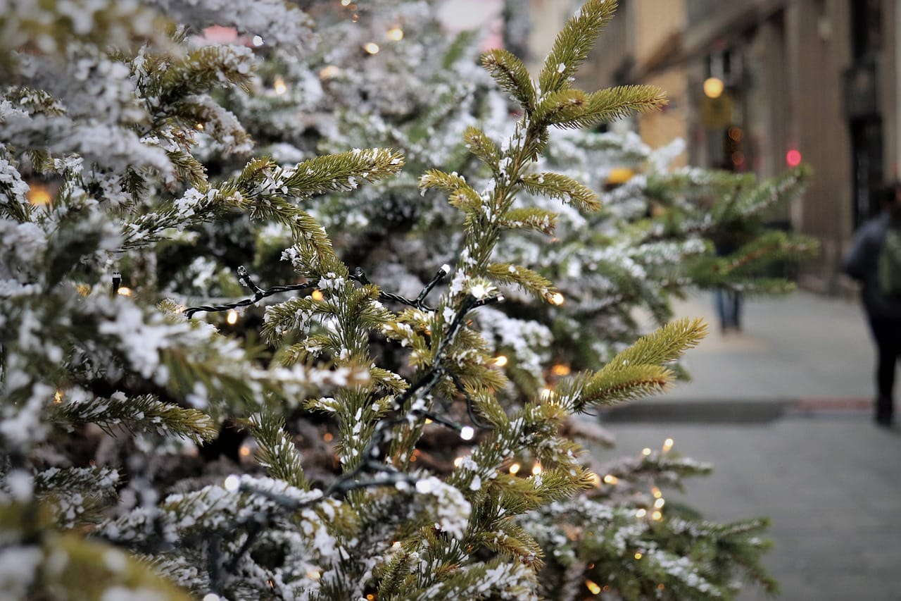 this image shows bush Christmas lights installation in Cameron Park, CA