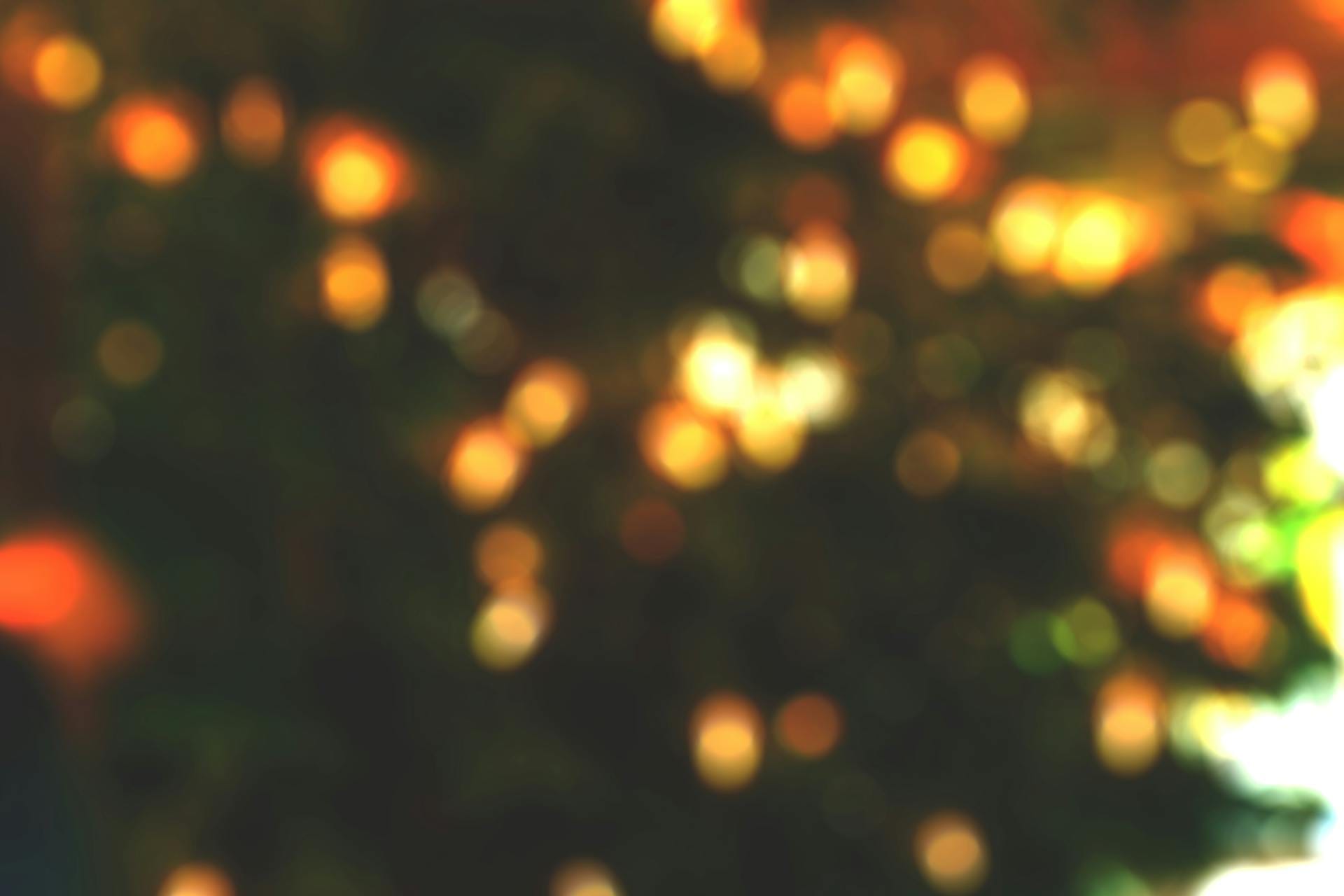 Roofline and yard holiday lighting, Cameron Park Airpark Estates Christmas light installation