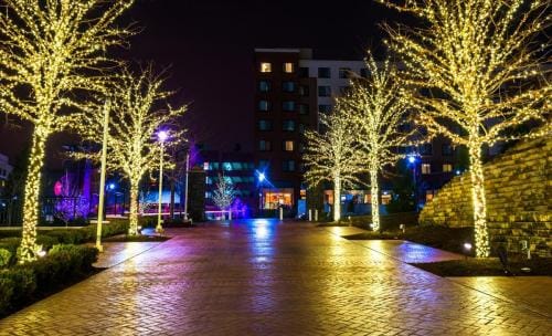 this image shows tree Christmas lights installation in Cameron Park, CA